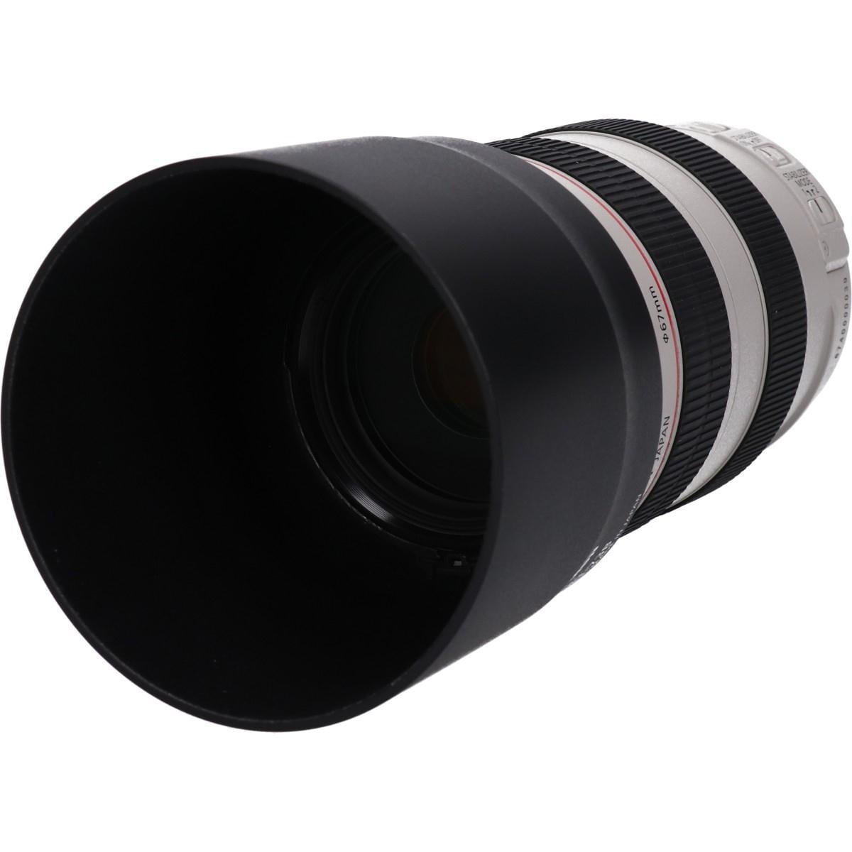 EF70-300mm F4-5.6L IS USM