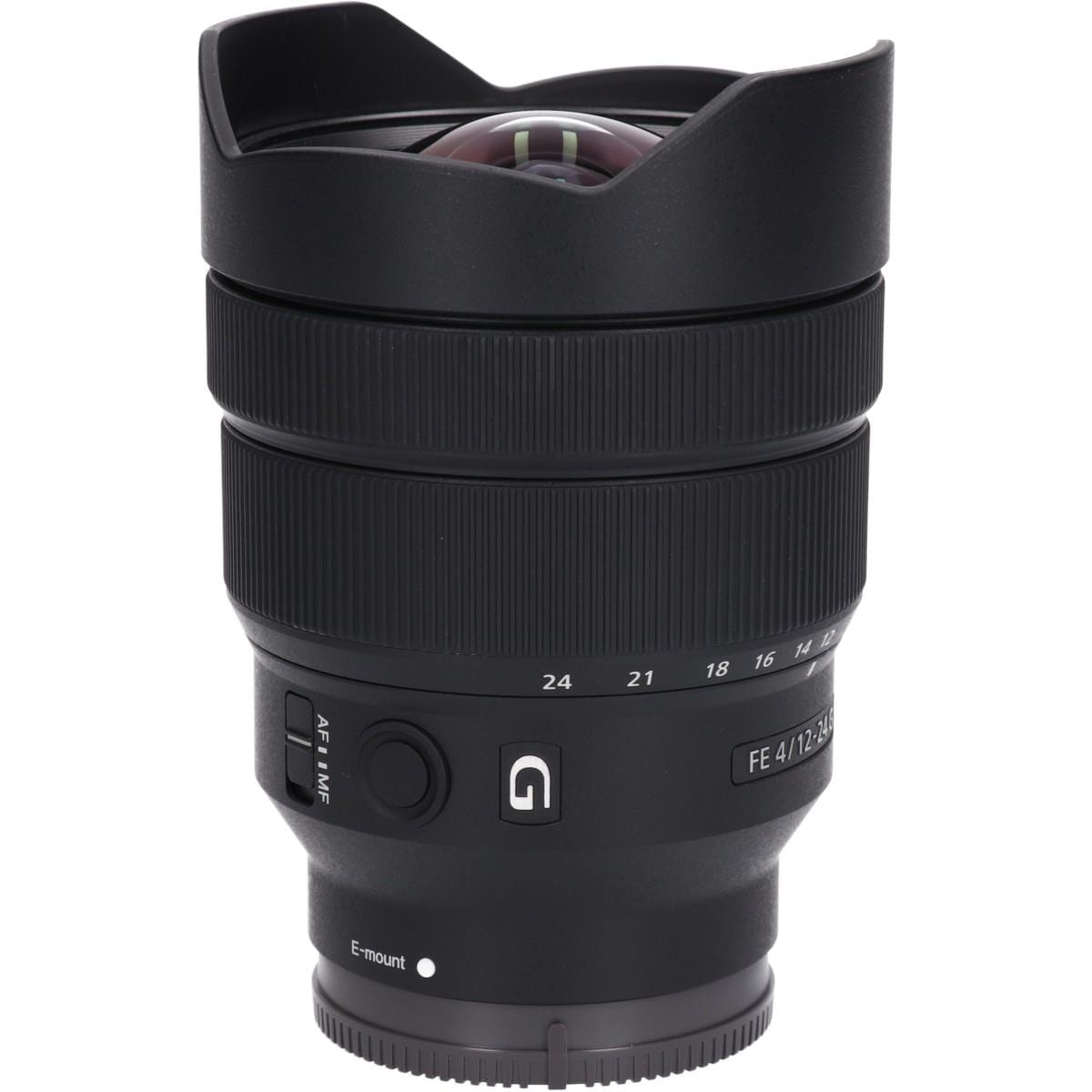 ＦＥ１２－２４ｍｍ　Ｆ４Ｇ（ＳＥＬ１２２４Ｇ）