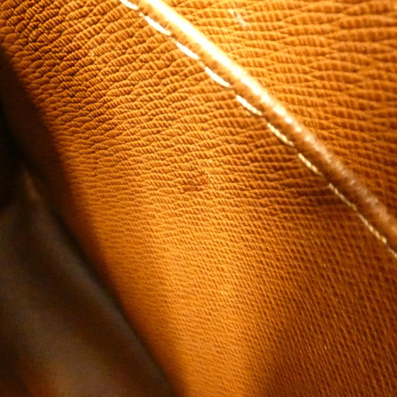 LOUIS VUITTON Monogram Amazon M45236 单肩包