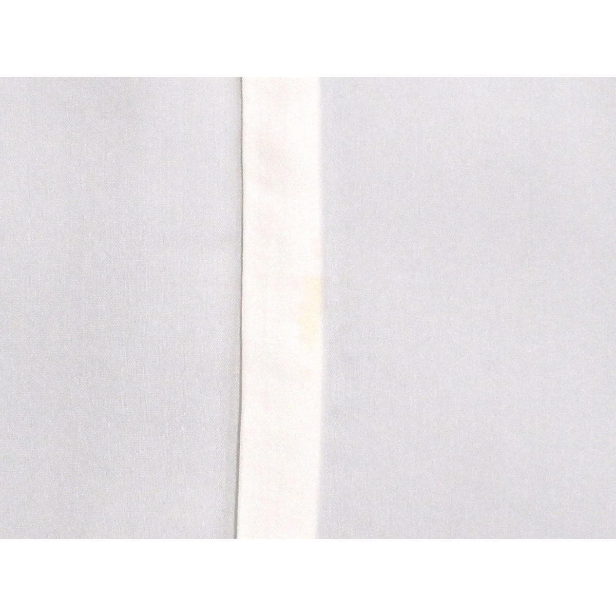 単衣　訪問着　刺繍入り