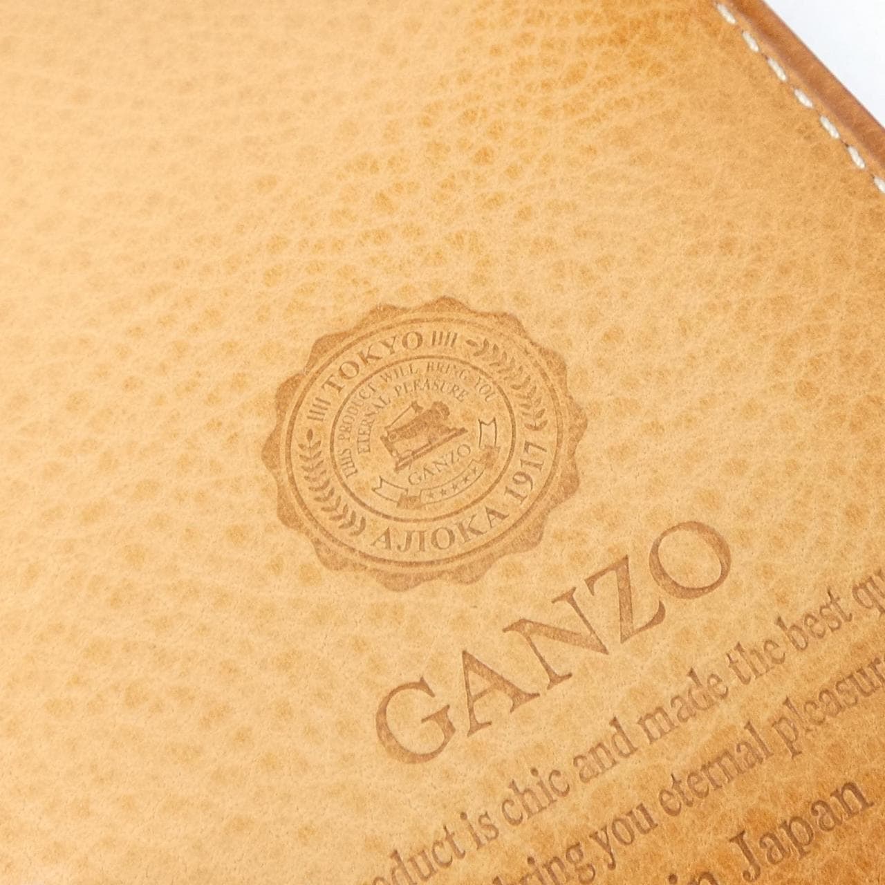 GANZO ORGANIZER