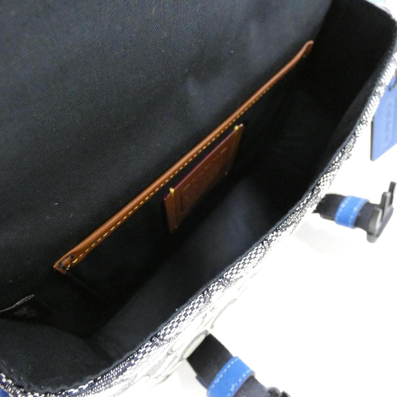 [BRAND NEW] Coach C8113 Shoulder Bag