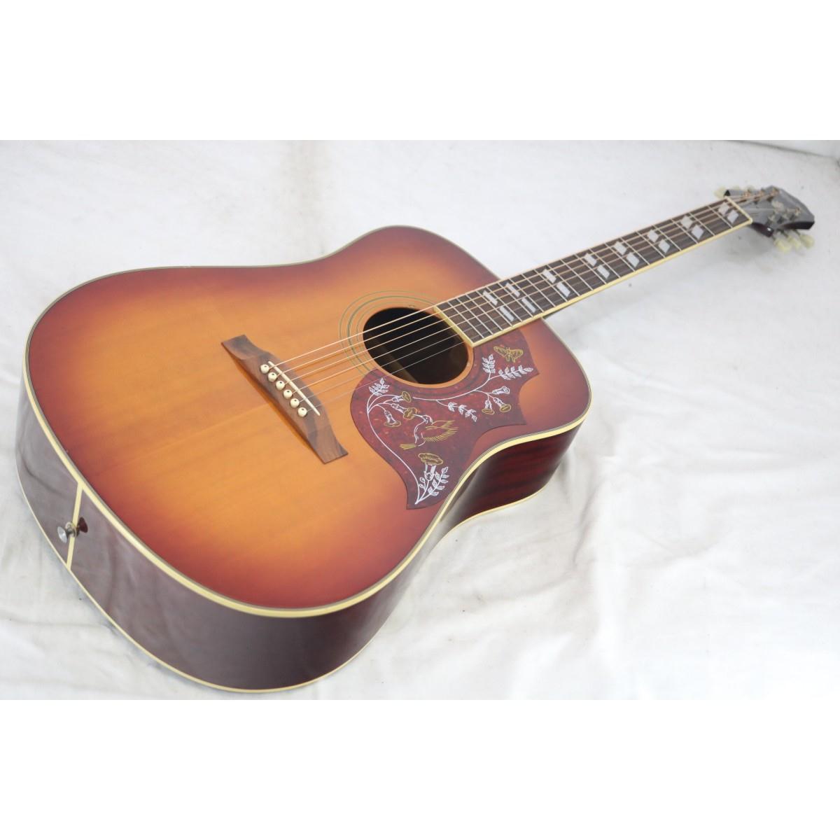 ＥＰＩＰＨＯＮＥ　ＨＵＭＭＩＮＧＢＩＲＤ