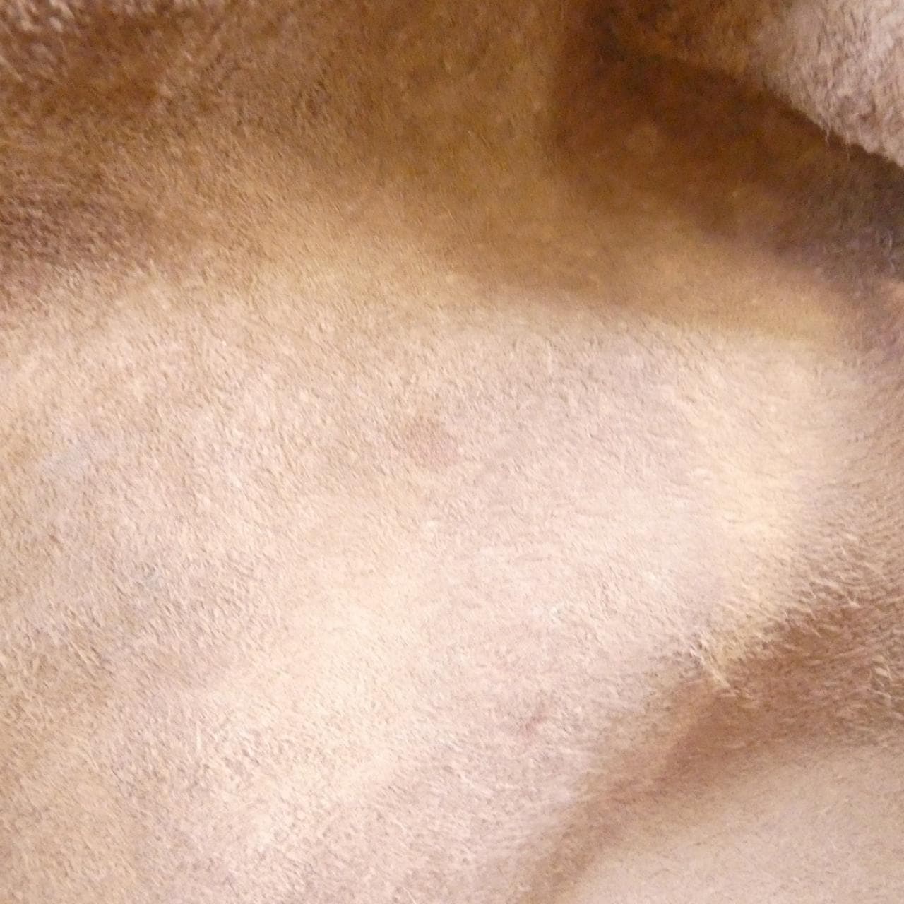 ボッテガヴェネタ 115653 V0013 ショルダーバッグ