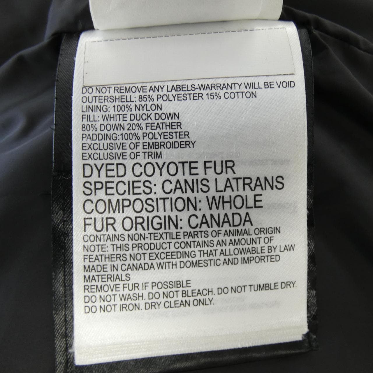 Canada goose CANADA GOOSE down coat