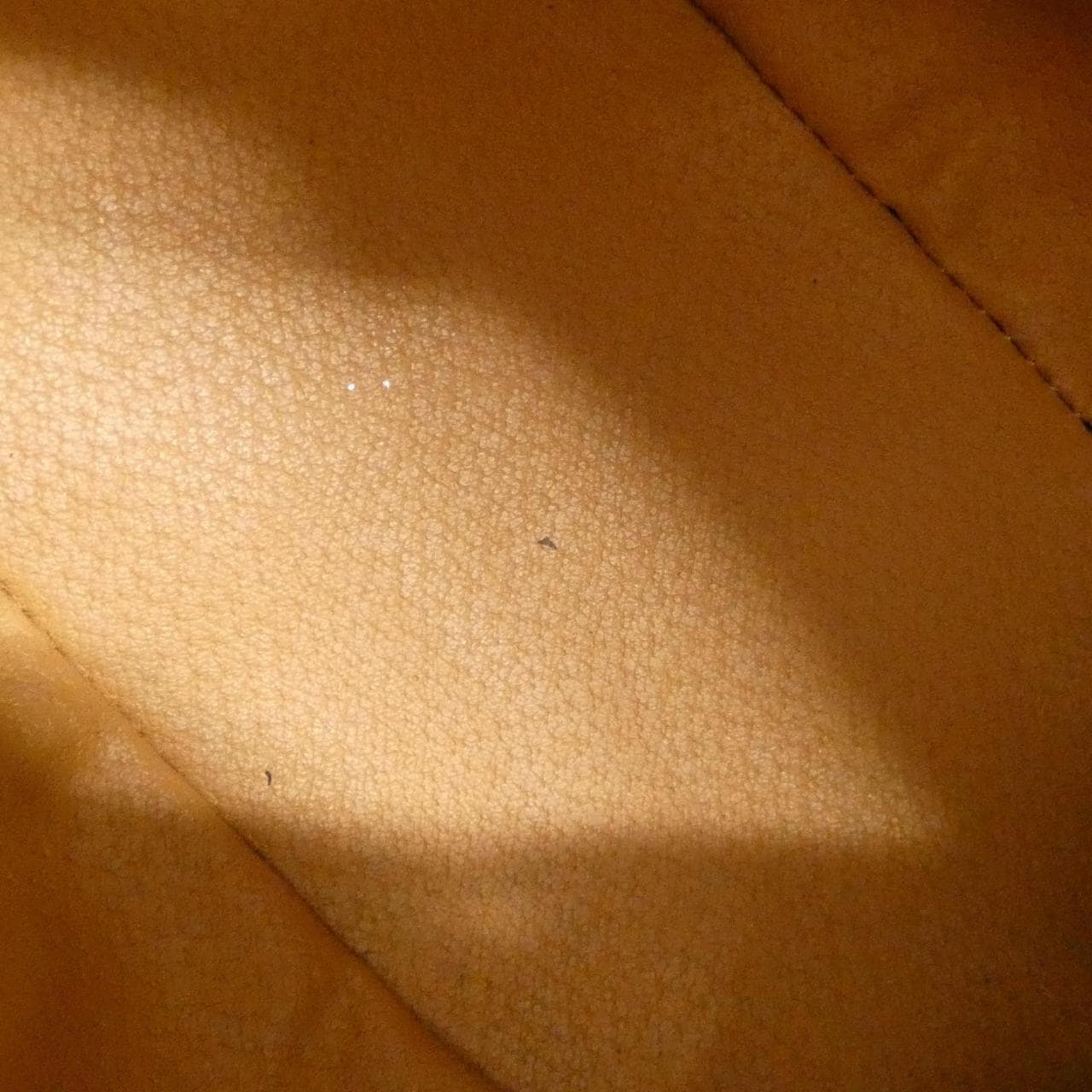 【ヴィンテージ】セリーヌ バッグ