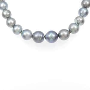 Silver clasp black pearl necklace 8-12mm