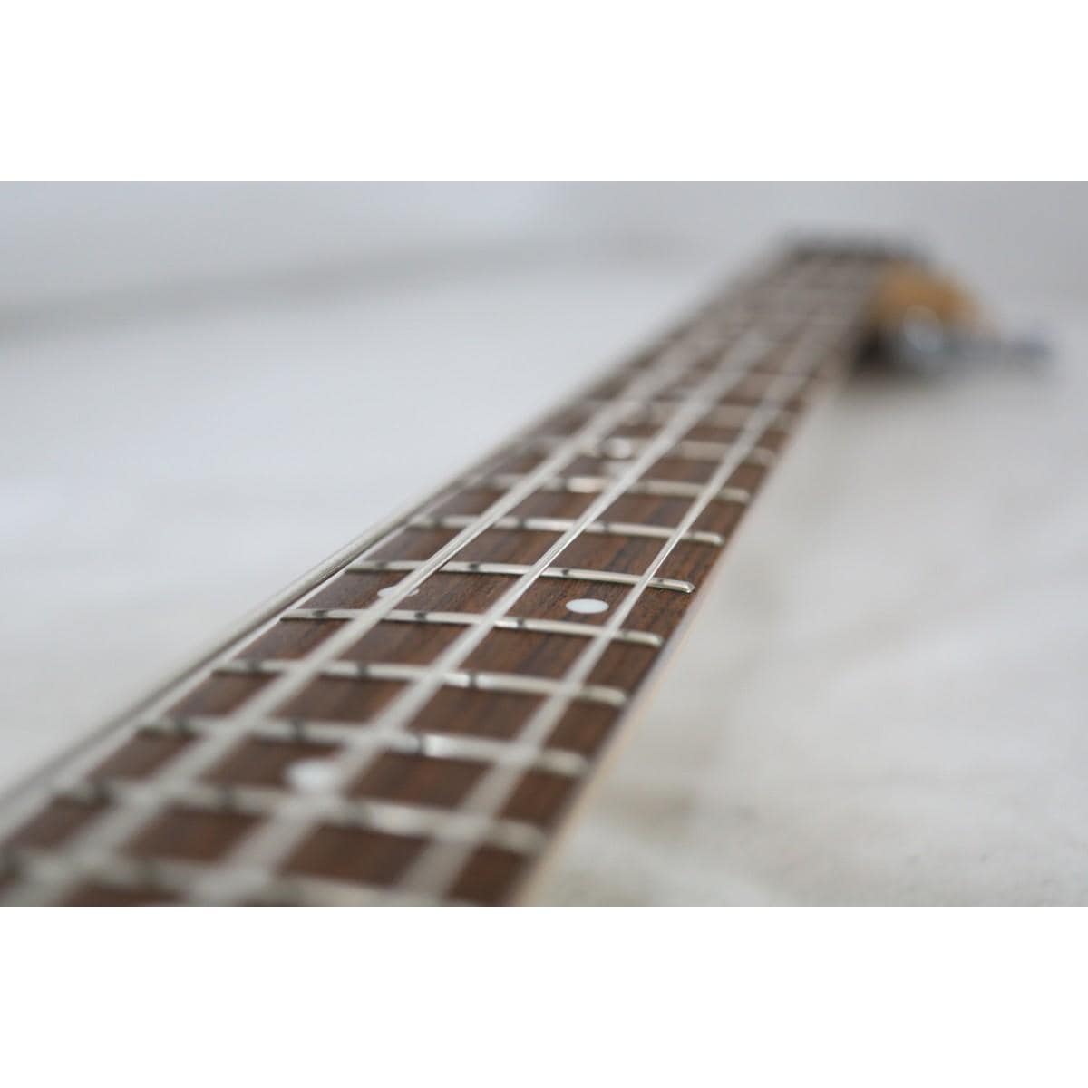 ＰＩＧＮＯＳＥ ＰＧＢ－２００