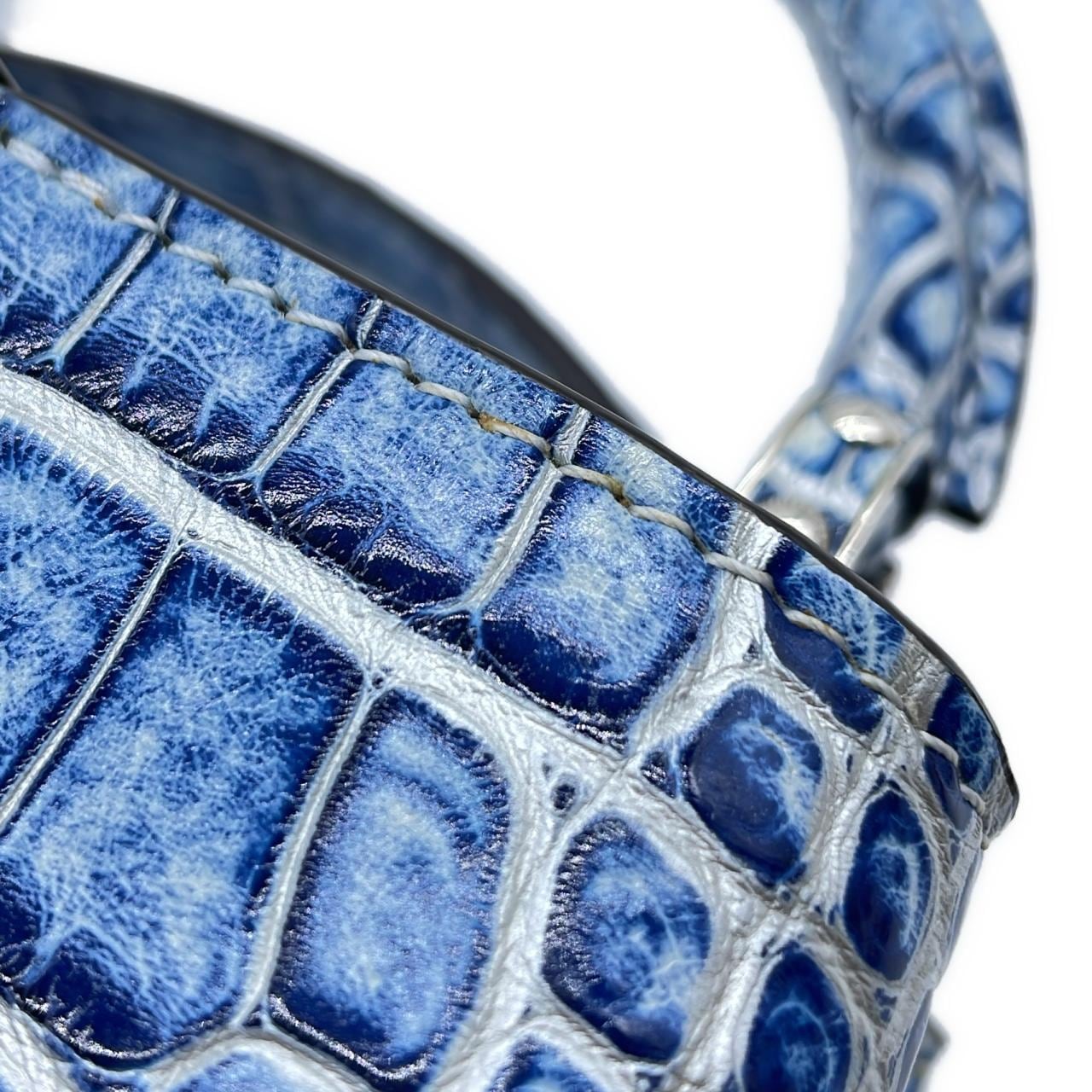 ルイヴィトン エキゾチック レザー カプシーヌ MINI N81111 バッグ