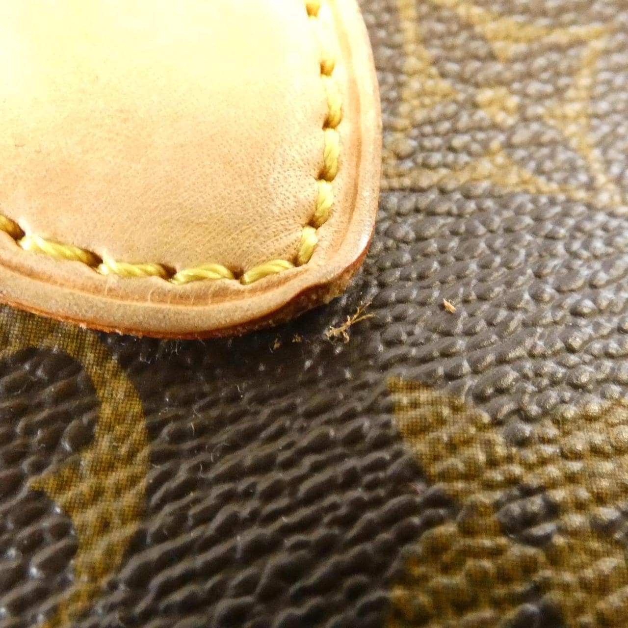 LOUIS VUITTON Monogram Popincourt M40009 Bag