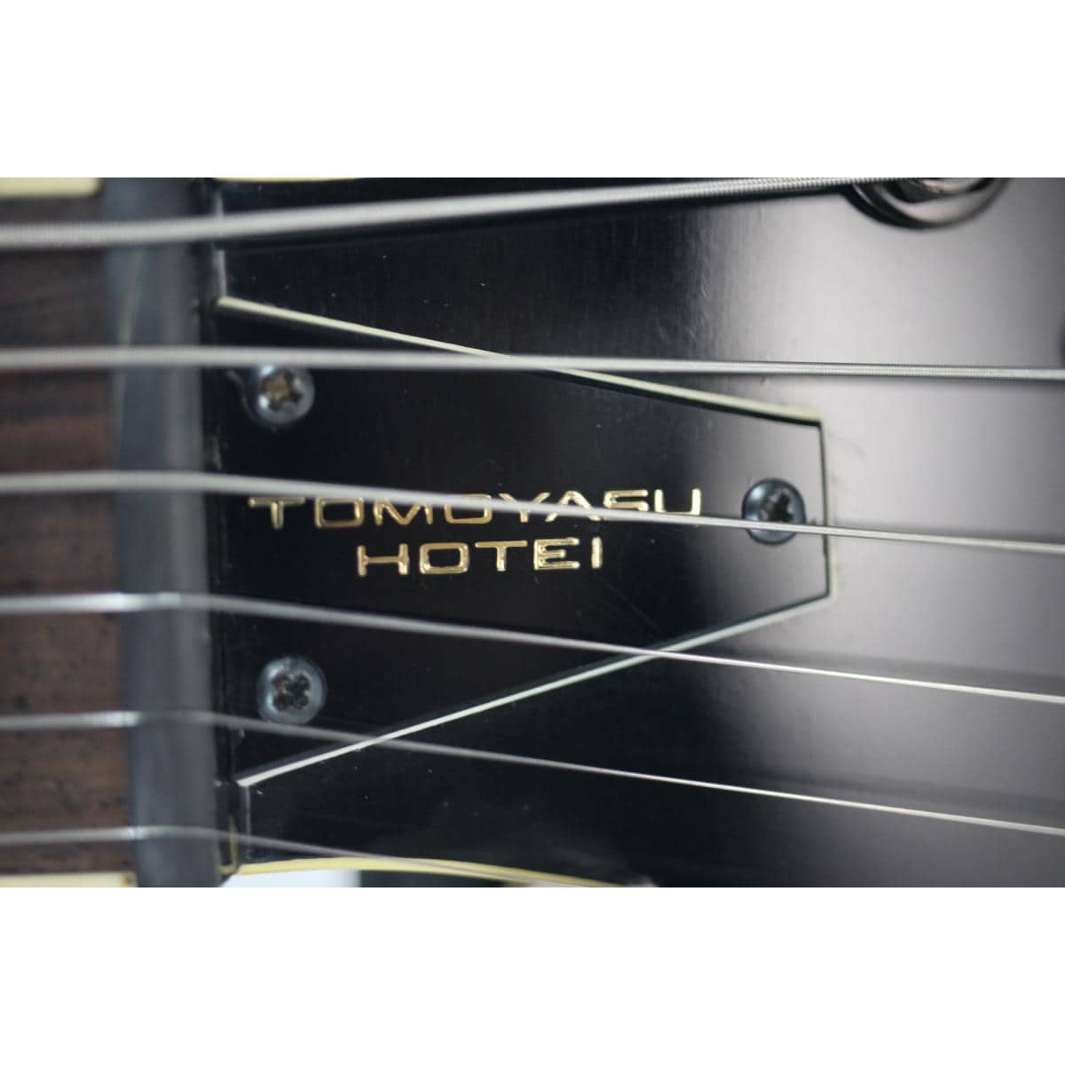 FERNANDES TE-95HT