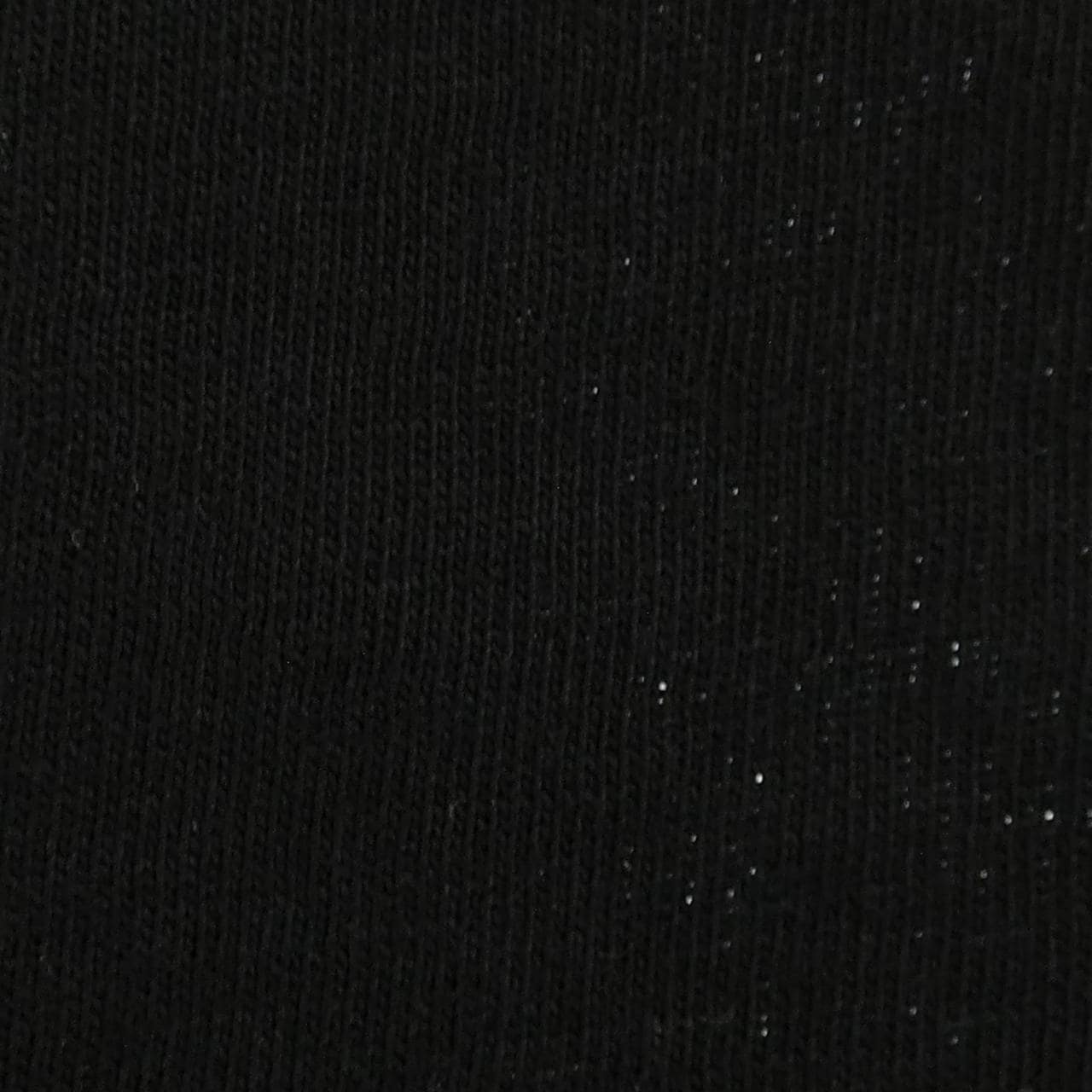 アンドゥムルメステール Ann Demeulemeester Tシャツ