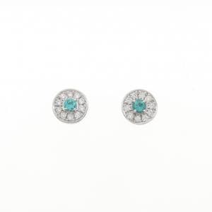 PT900 パライバトルマリン ピアス 0.204CT