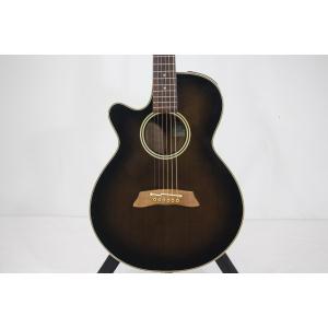 ＴＡＫＡＭＩＮＥ　ＰＴ－１０６／ＬＨ