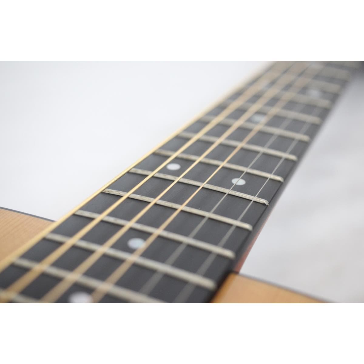 MARTIN D-16GT