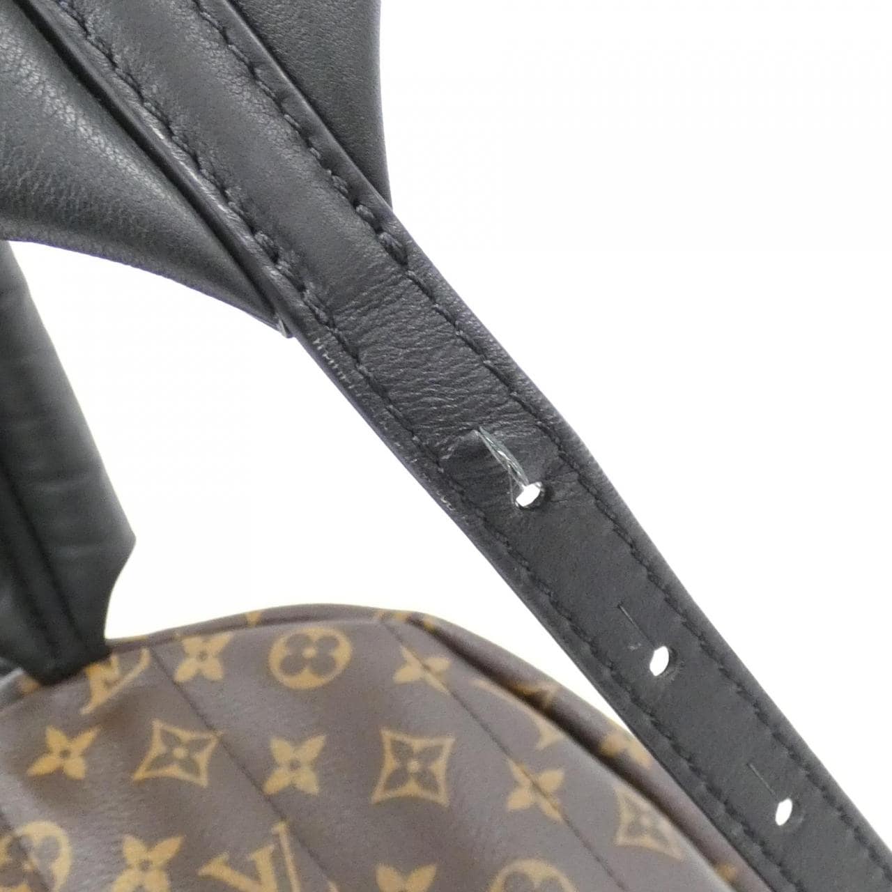 LOUIS VUITTON Monogram Palm Springs Backpack MM M44874 Rucksack