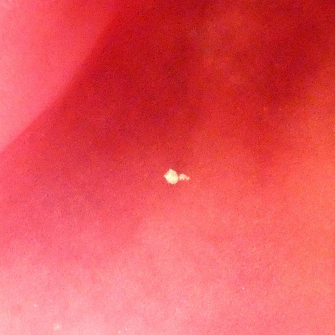 ルイヴィトン マルチカラー スピーディ 30cm M92643 ボストンバッグ