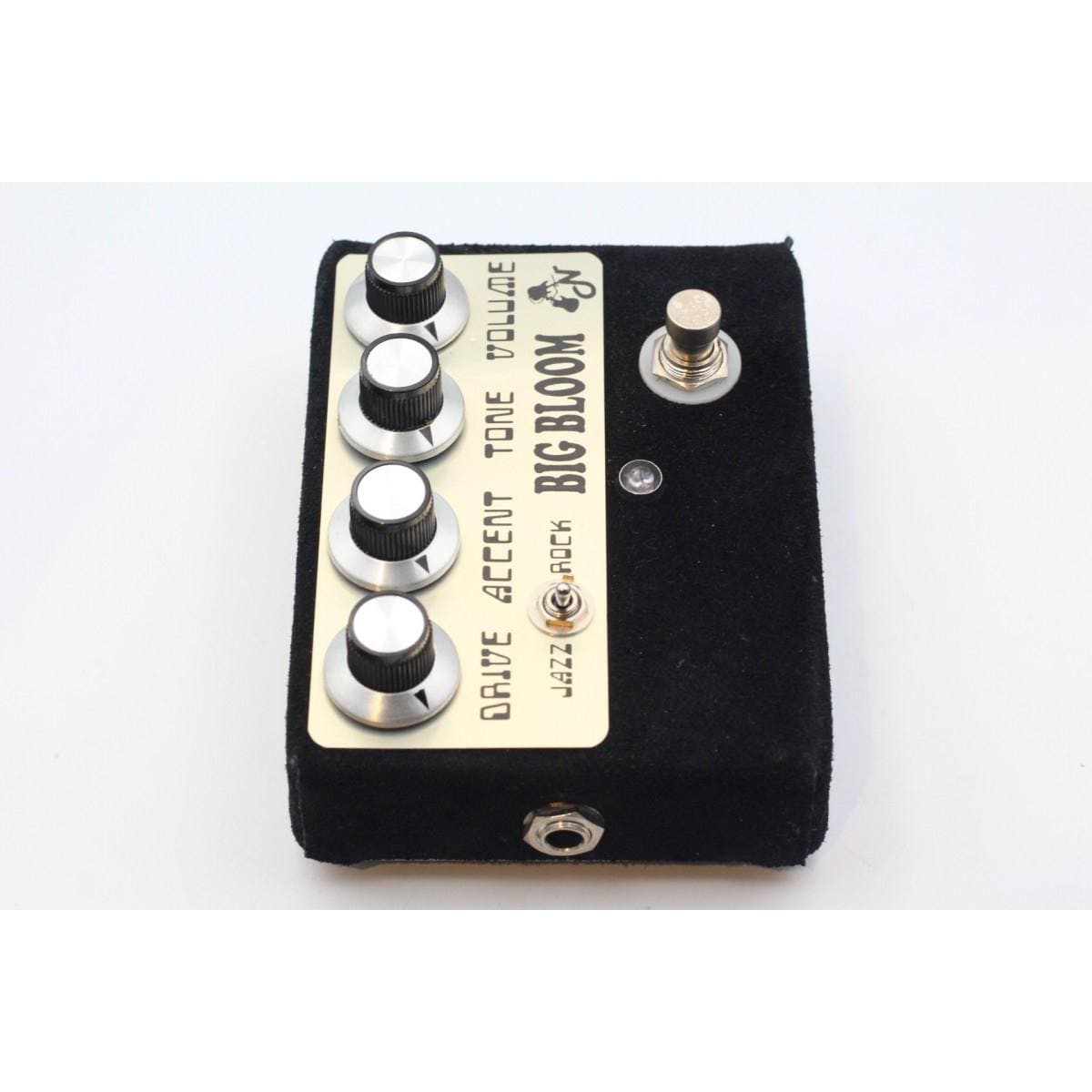 Ａｍｐｌｉｆｉｅｄ　Ｎａｔｉｏｎ　ＢＩＧ　ＢＬＯＯＭ