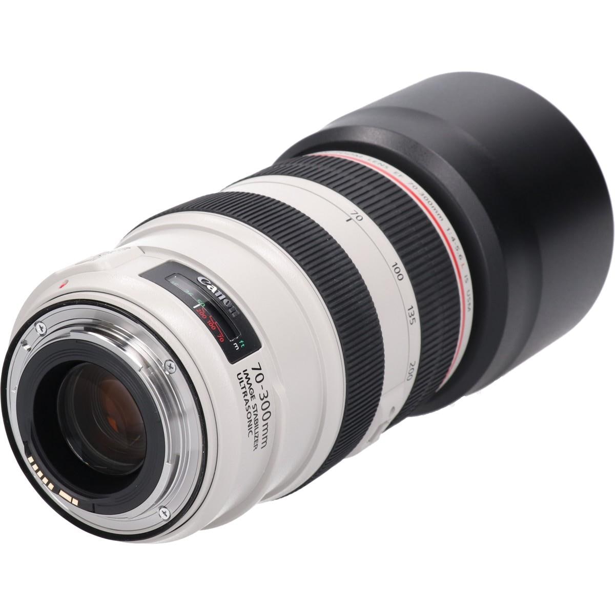 ＥＦ７０－３００ｍｍ　Ｆ４－５．６Ｌ　ＩＳ　ＵＳＭ