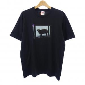 シュプリーム SUPREME Tシャツ