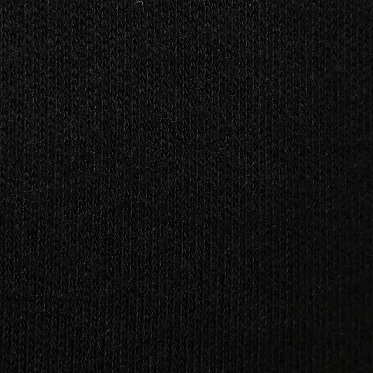 ルシアン ペラフィネ lucien pellat-finet Tシャツ