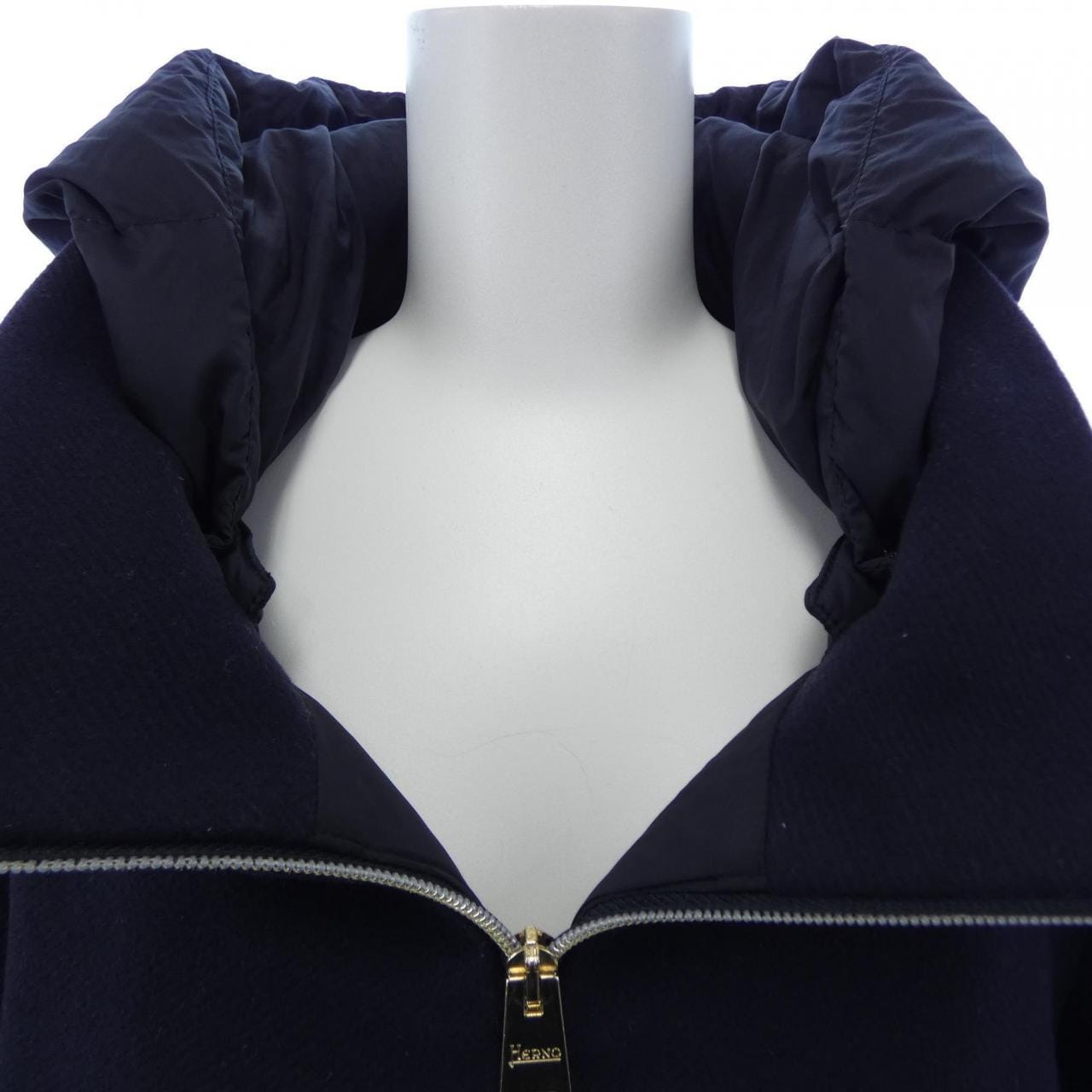 Herno PI0848D Down Coat