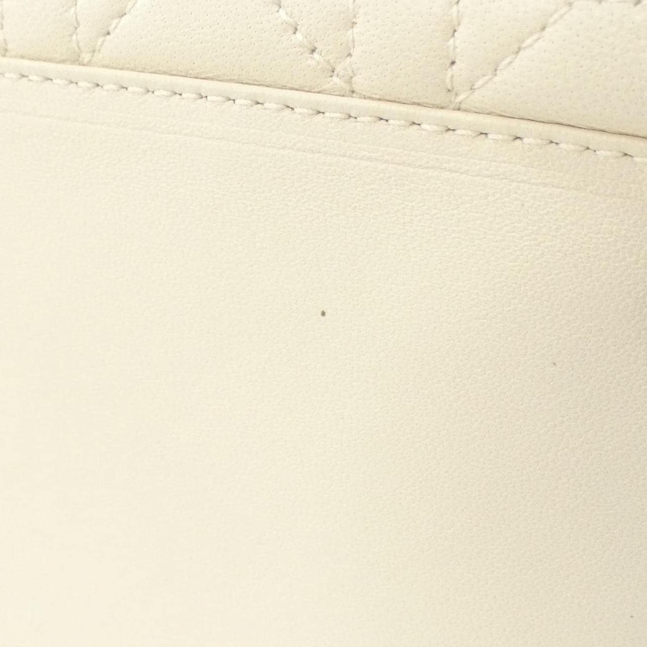 クリスチャンディオール ソフト レディ ディオール バッグ