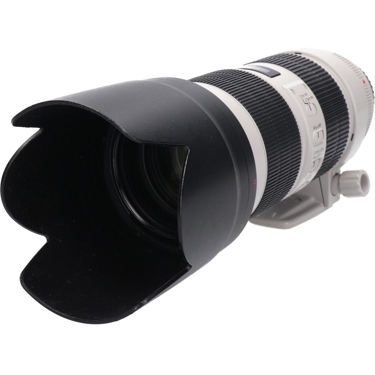 ＥＦ７０－２００ｍｍ　Ｆ２．８Ｌ　ＩＳＩＩＩＵＳＭ