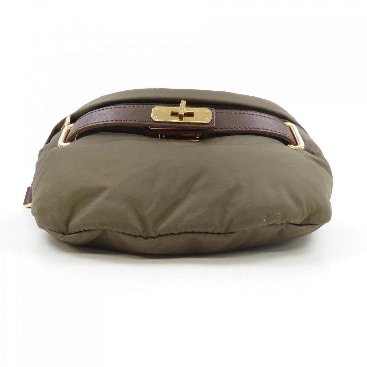 シータパランティカ sita parantica BAG