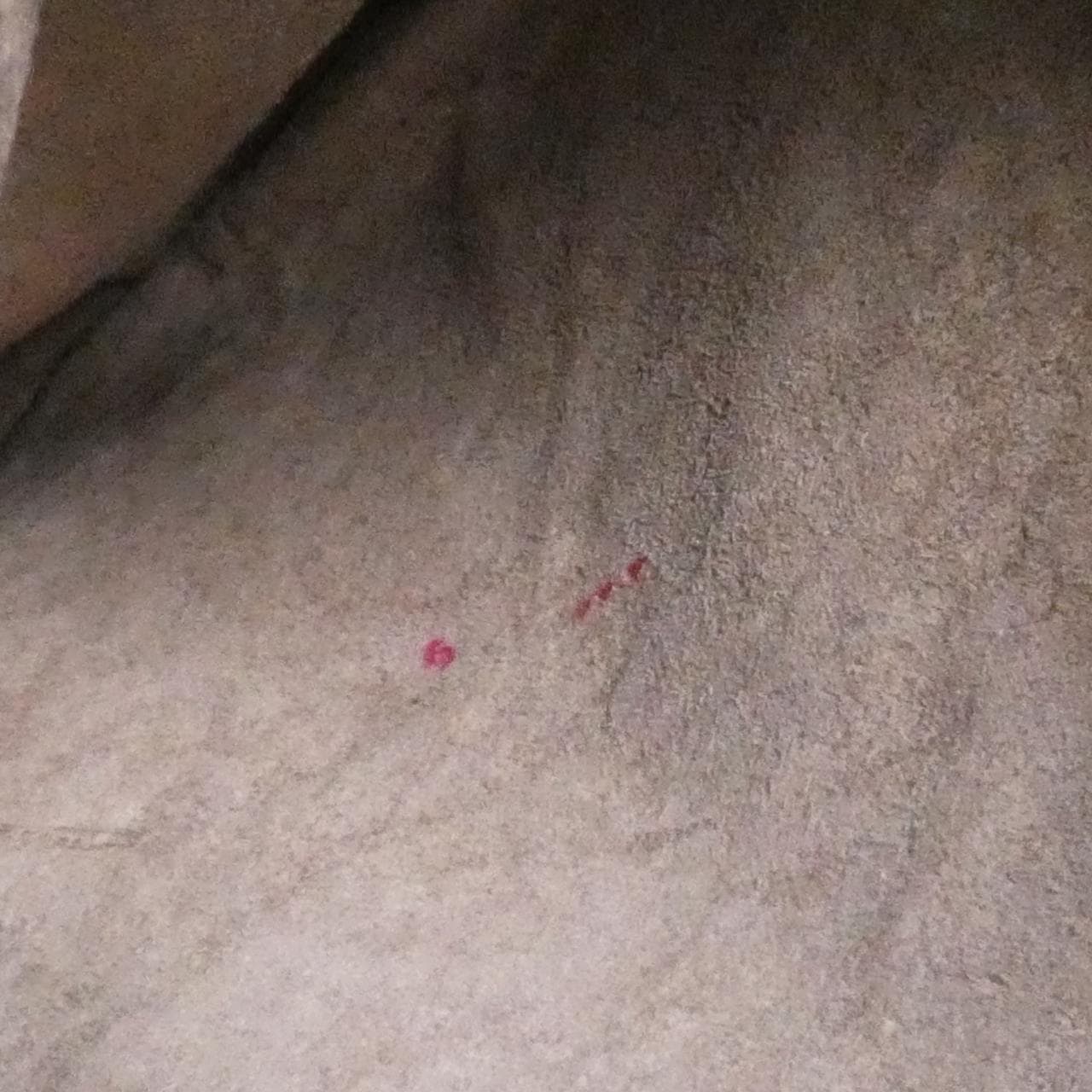 ボッテガヴェネタ 115653 V0016 ショルダーバッグ