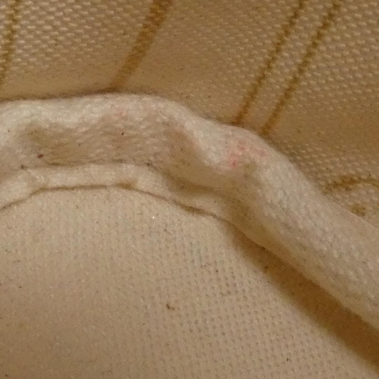 ルイヴィトン ダミエ アズール ネヴァーフル PM N51110 バッグ