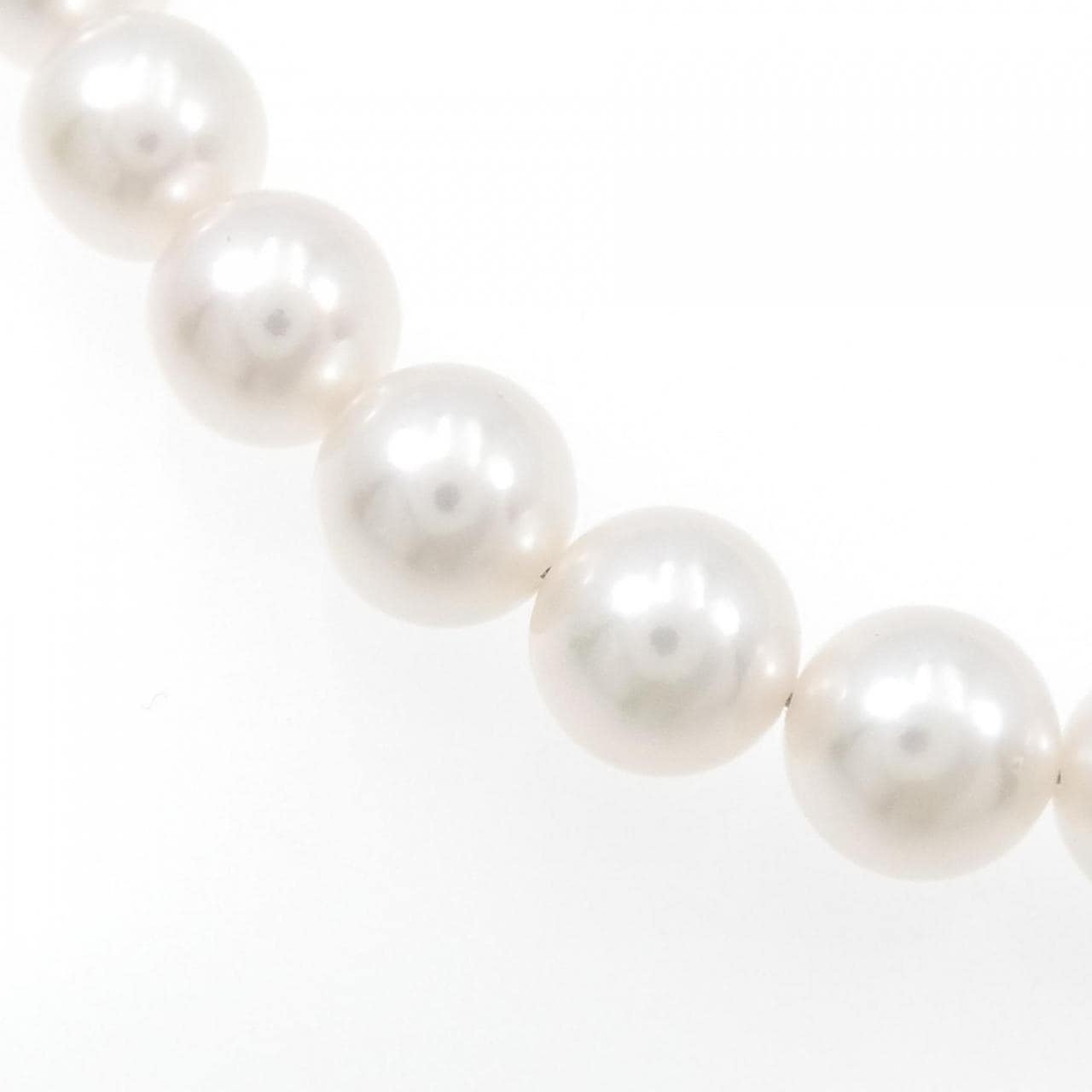 [BRAND NEW] Silver Clasp Akoya Pearl Necklace 7.5-8mm