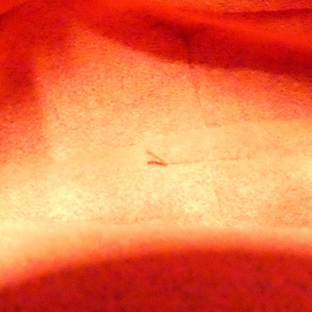 ルイヴィトン モノグラム クロワッサン MM M51512 ショルダーバッグ