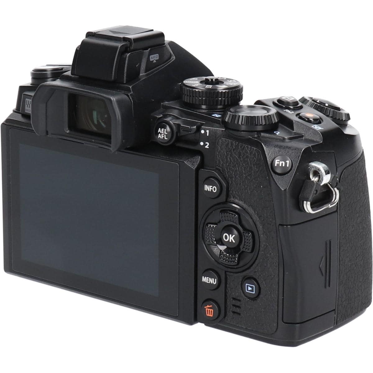 Ｅ－Ｍ１