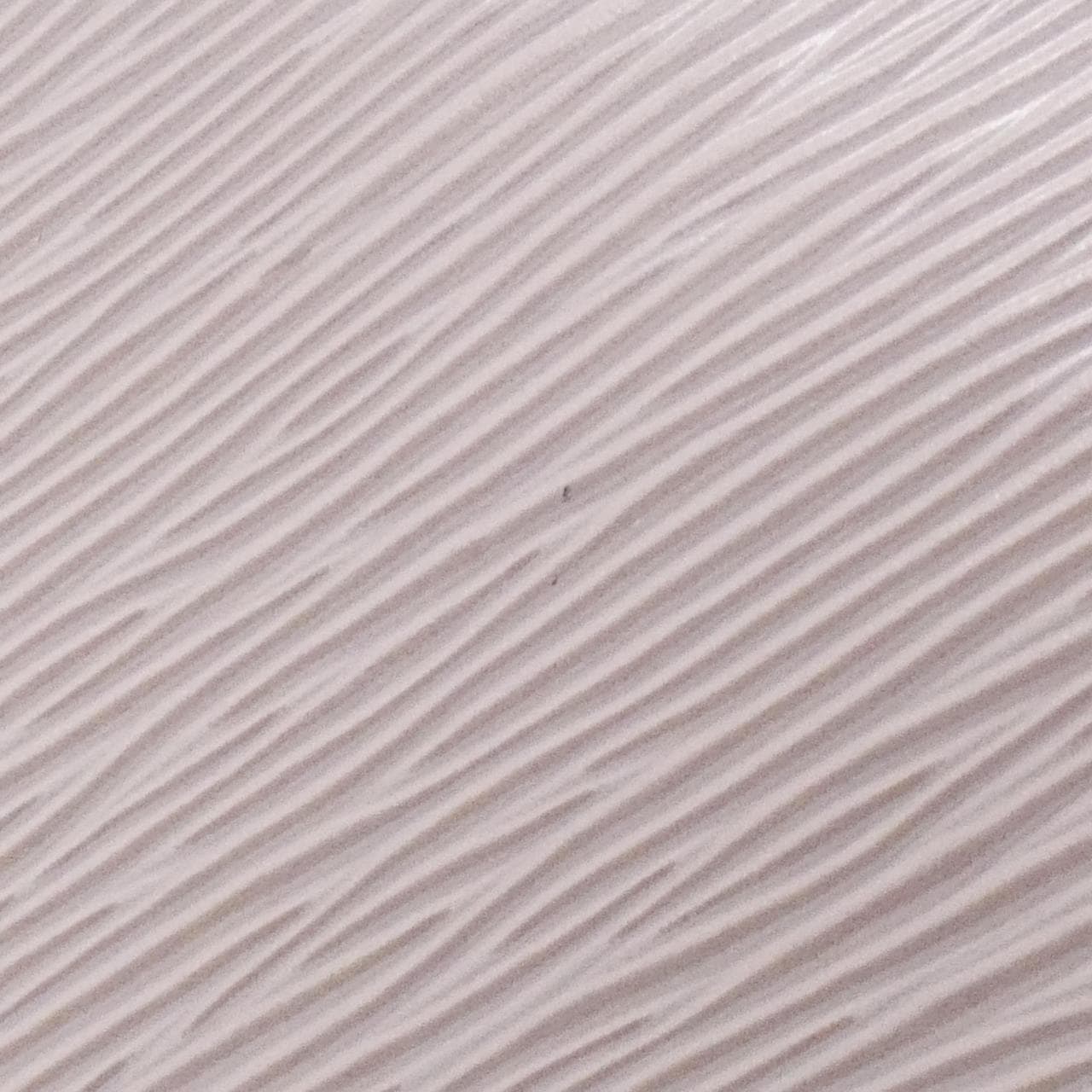 ルイヴィトン エピ ポシェット ドゥミ リュンヌ M5262B アクセサリーポーチ