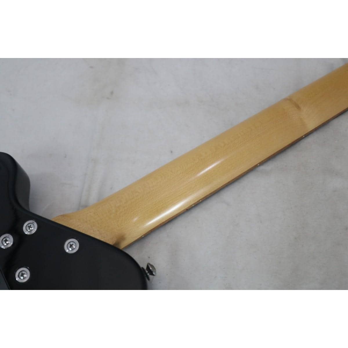 ＰＩＧＮＯＳＥ ＰＧＢ－２００