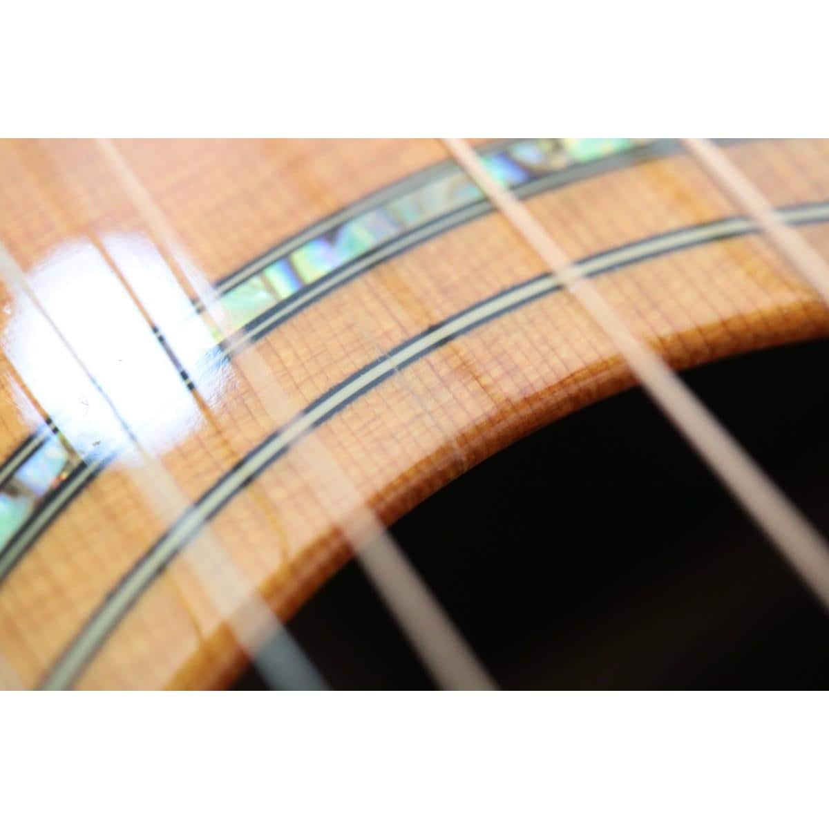 ＦＥＮＤＥＲ ＧＡ－４５ＳＣＥ
