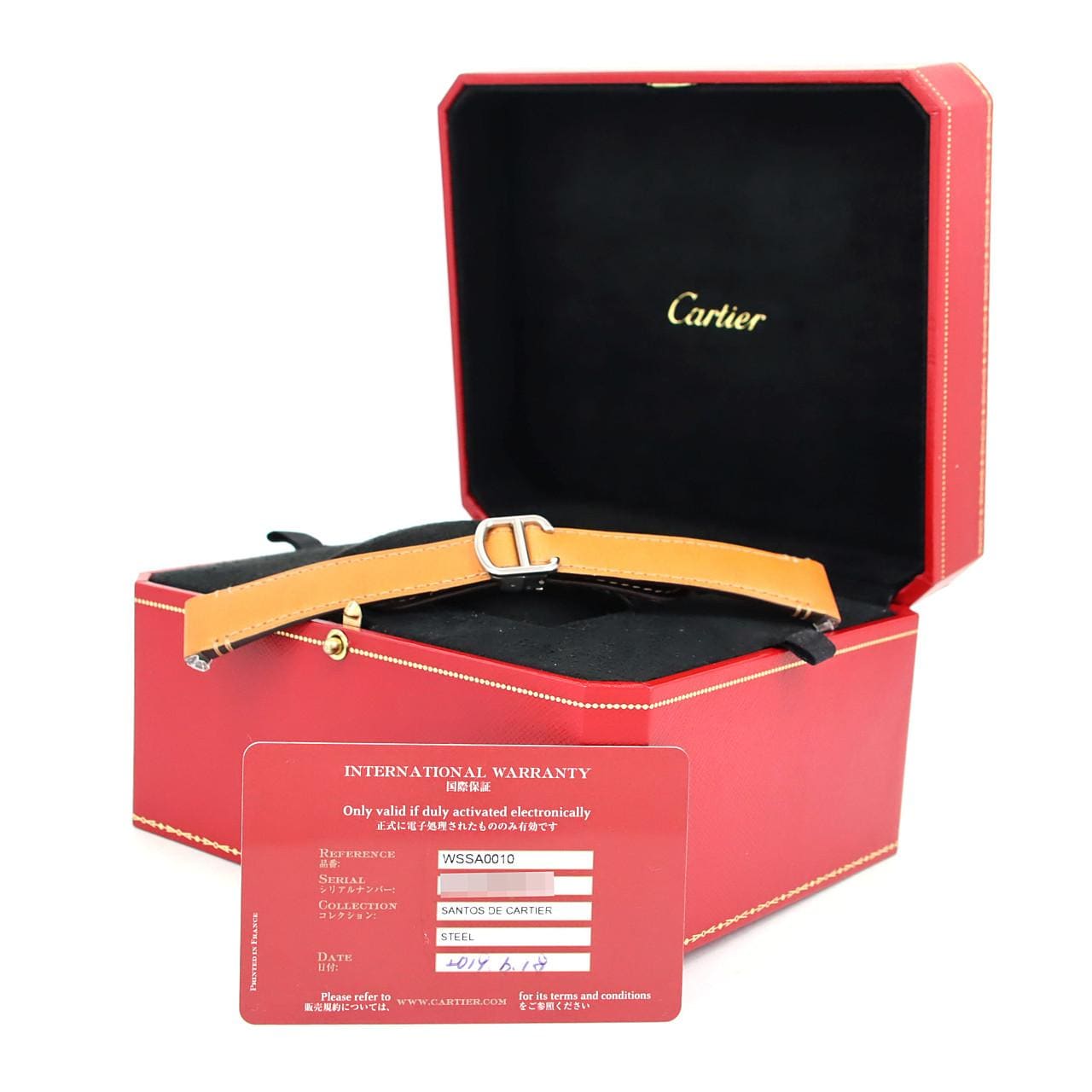 Cartier Santos de Cartier MM WSSA0010 SS Automatic
