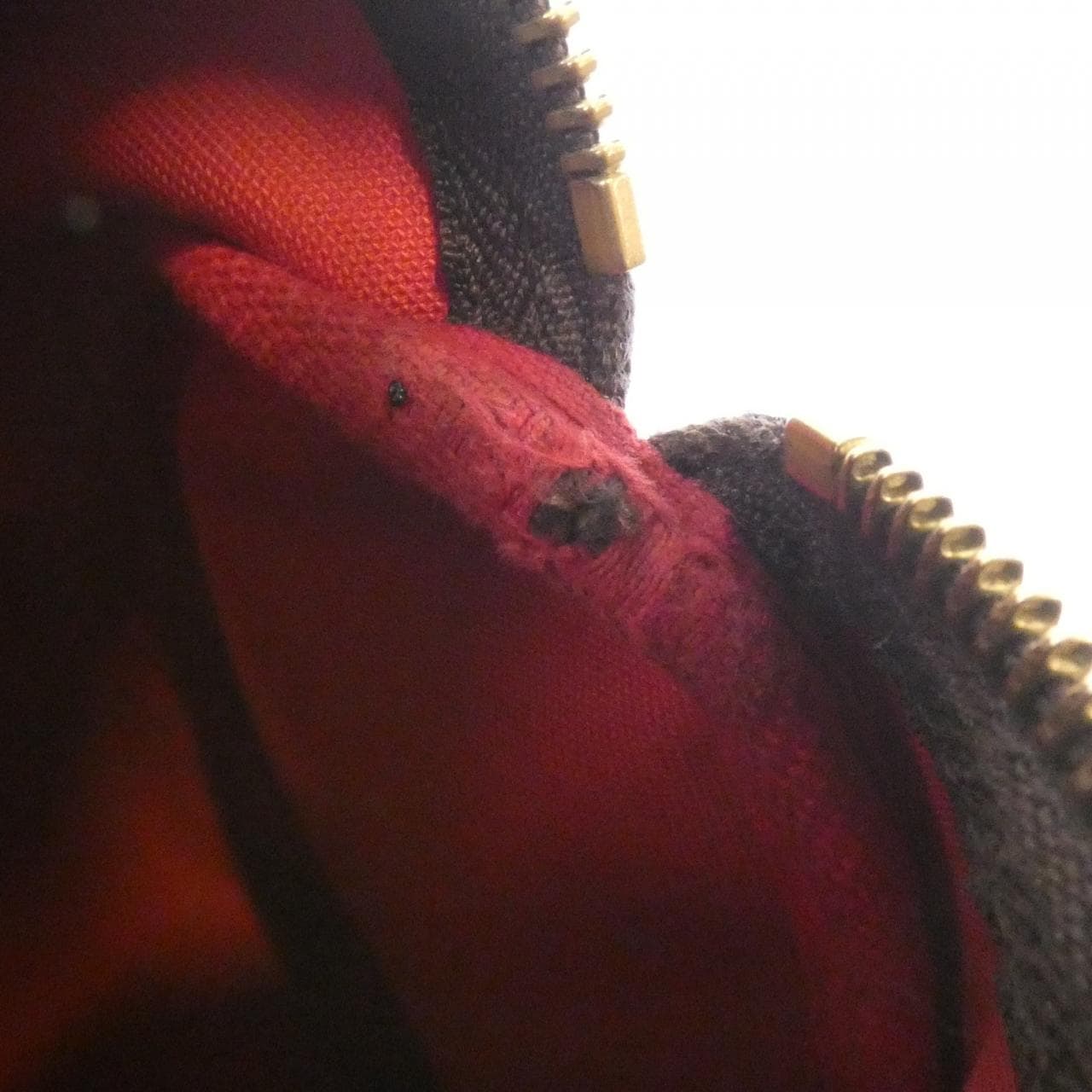 ルイヴィトン ダミエ スピーディ 25cm N41365 ボストンバッグ