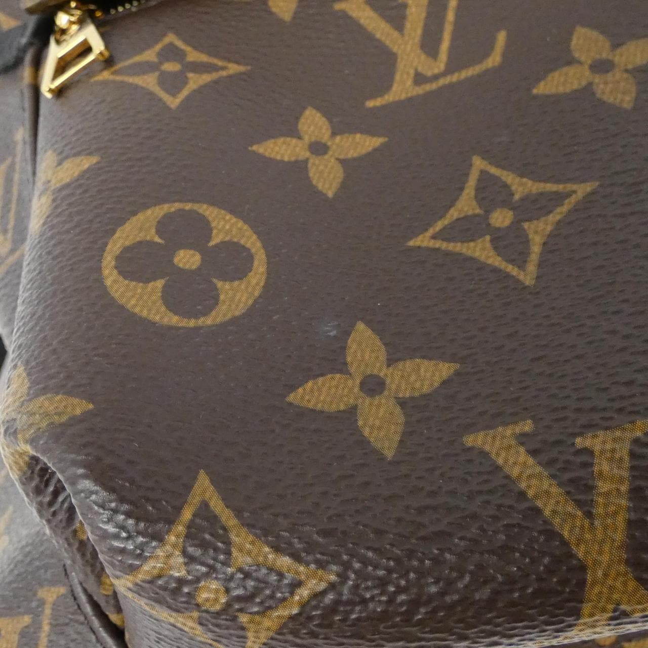 LOUIS VUITTON Monogram Palm Springs Backpack MM M44874 Rucksack