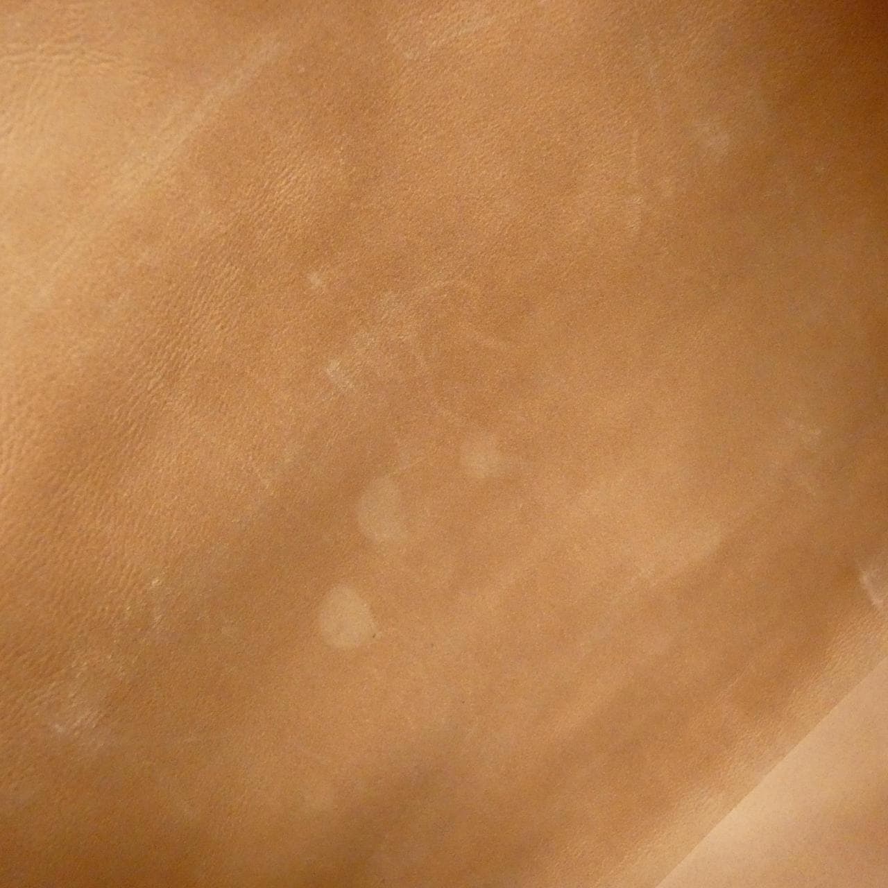 セリーヌ ホリゾンタル カバ 166113DBT バッグ