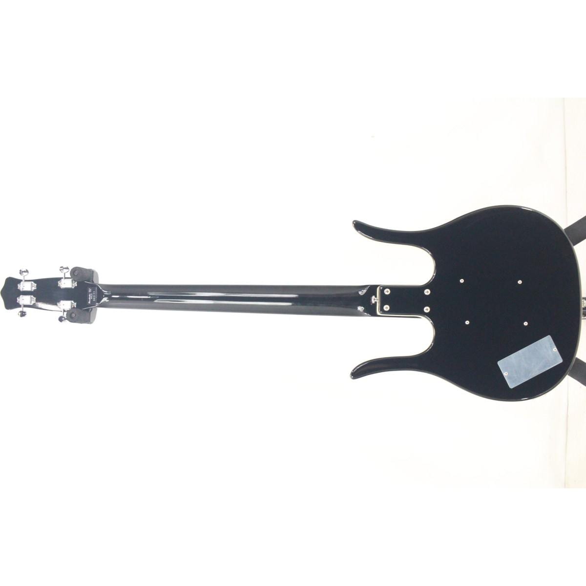ＤＡＮＥＬＥＣＴＲＯ　ＬＯＮＧＨＯＲＮ　ＢＡＳＳ