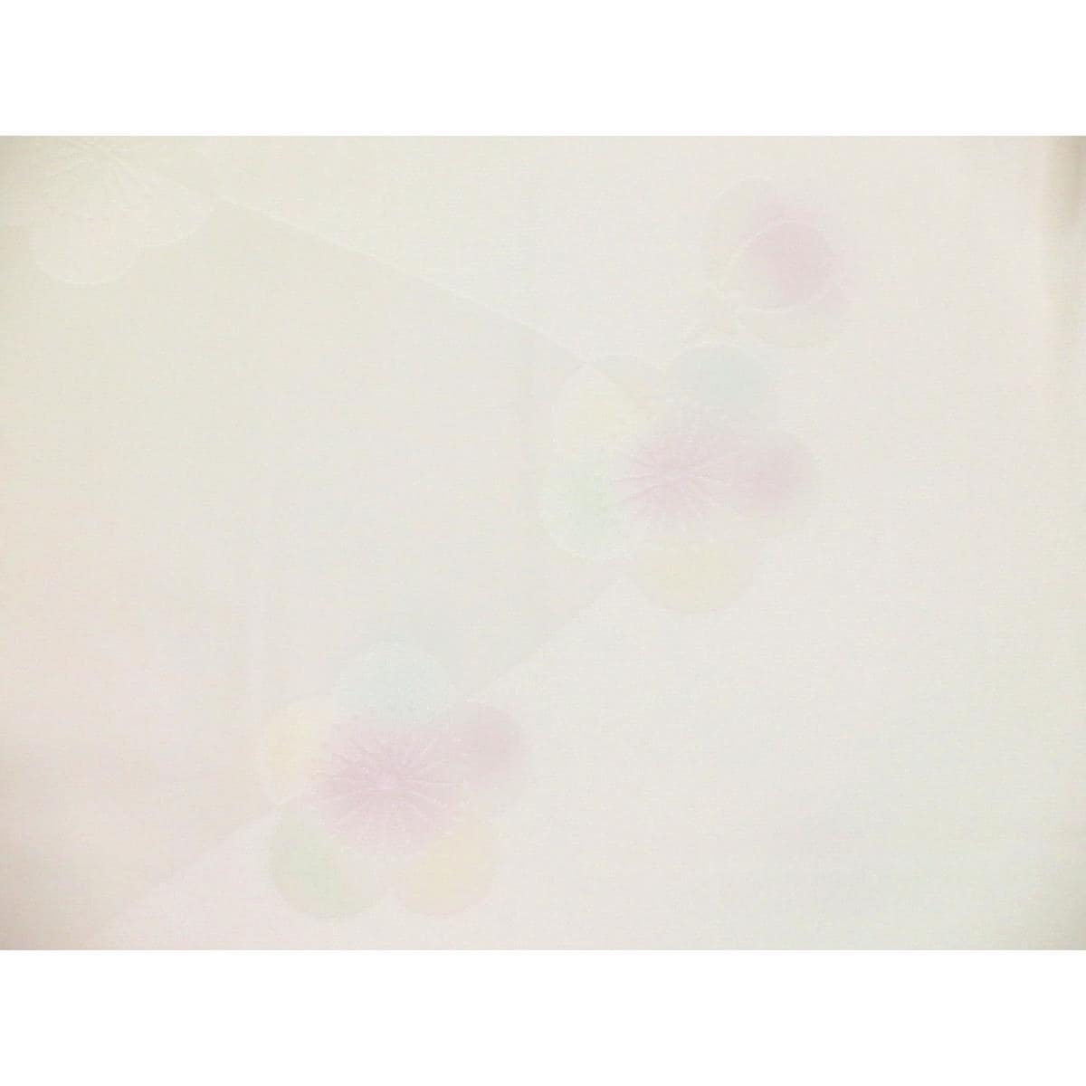 【未使用品】長襦袢　ボカシ染　広衿