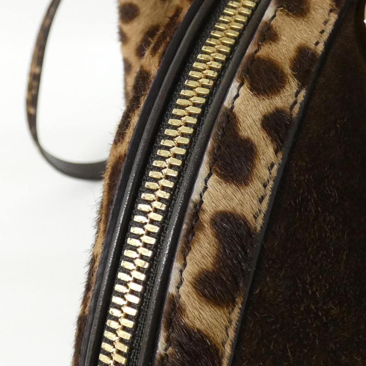 サルヴァトーレフェラガモ 21 F323 バッグ