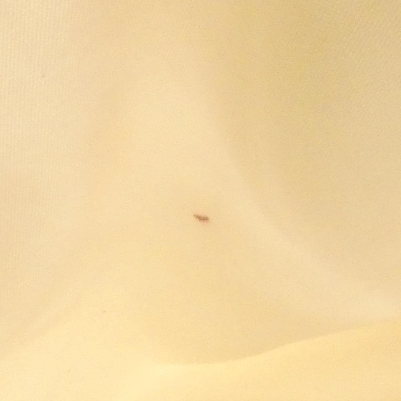 ロンシャン ル プリアージュ 1621 089 バッグ