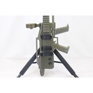 ＥＳＰ　　ＥＦＳＦ　ＢＥＡＭ　ＲＡＹＧＵＮ　ＧＵＩＴＡＲ