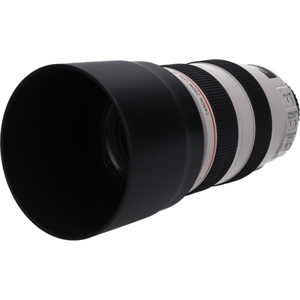 ＥＦ７０－３００ｍｍ　Ｆ４－５．６Ｌ　ＩＳ　ＵＳＭ
