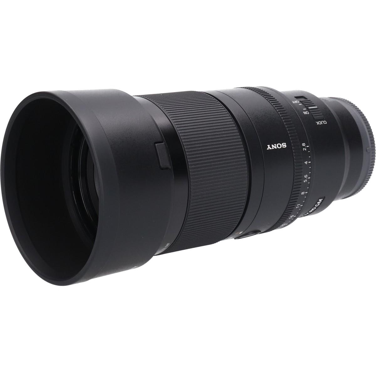 ＦＥ１００ｍｍ　Ｆ２．８　ＭＡＣＲＯ　ＧＭ