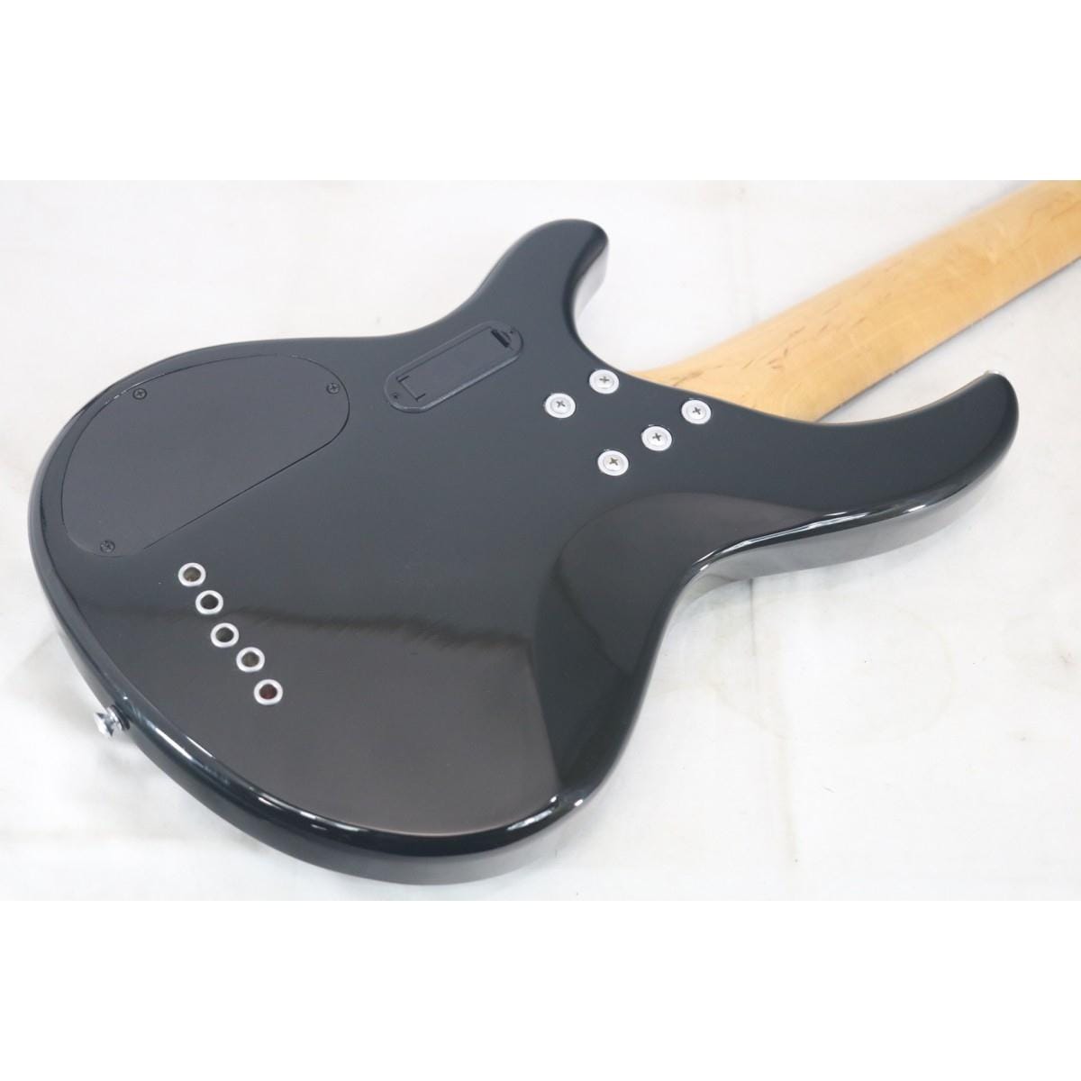 ＡＲＩＡ　ＰＲＯ　ＩＩ　　ＩＧＢ－ＳＴＤ／５Ｂ