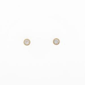 Cubic zirconia earrings/earrings